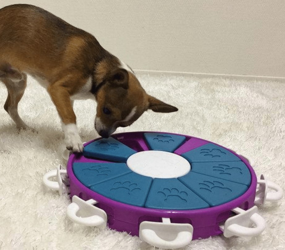 diy toys