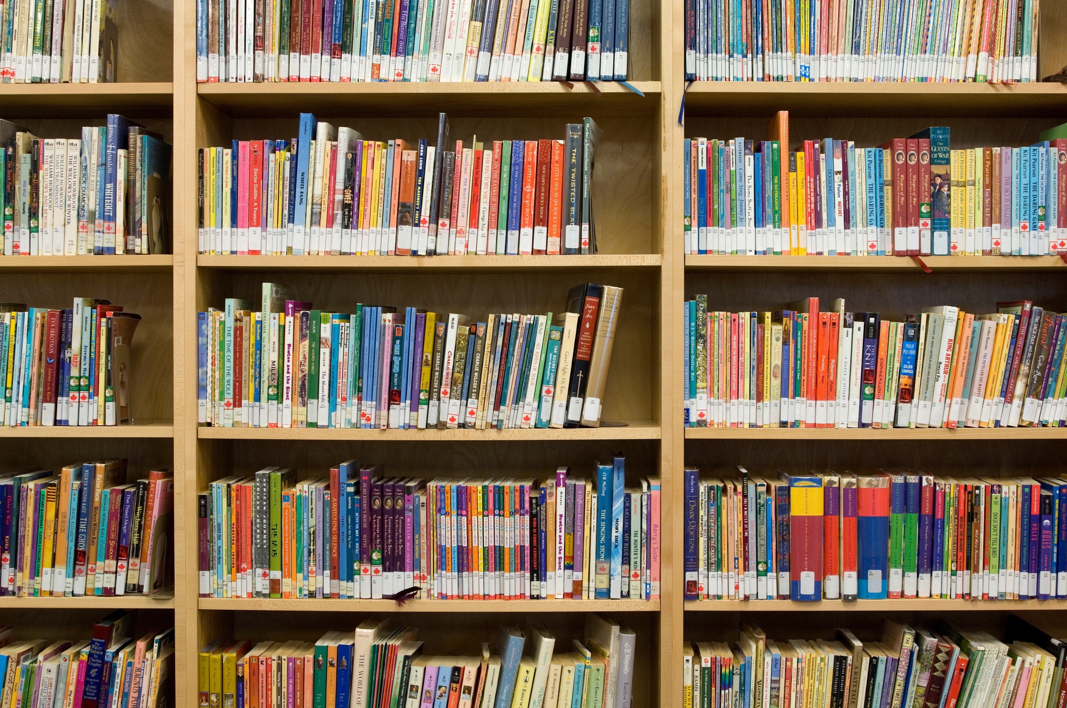 Choosing the Right Bookshelf Depth for Your Home: A Guide