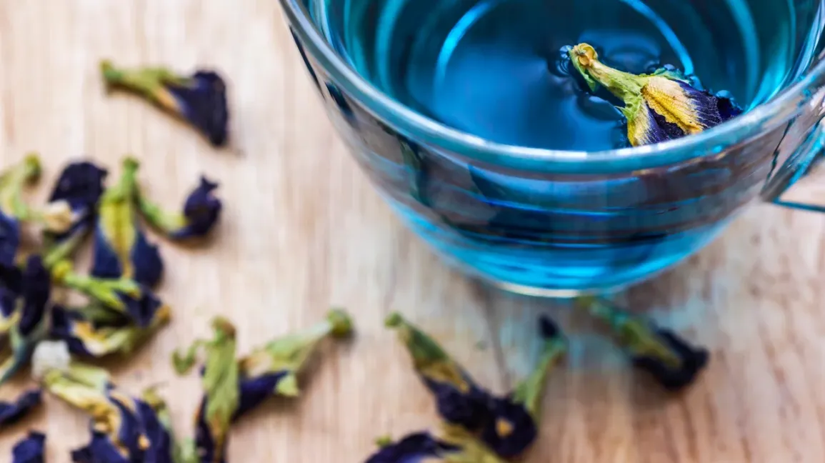 Butterfly Pea Flower Tea: Nature’s Vivid Elixir插图4