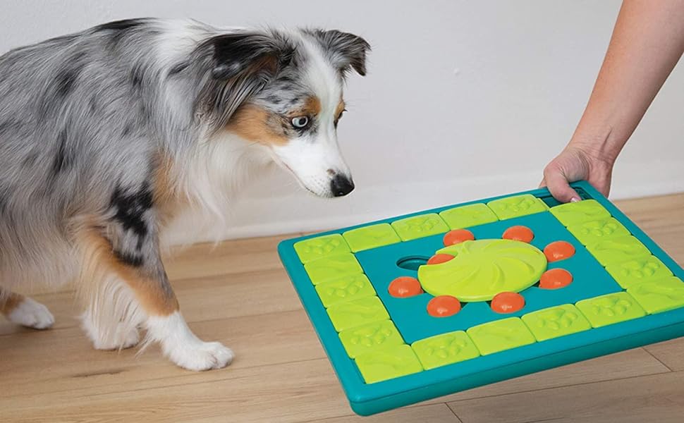 DIY Puppy Toys: Engaging Playtime for Your Furry Friend
