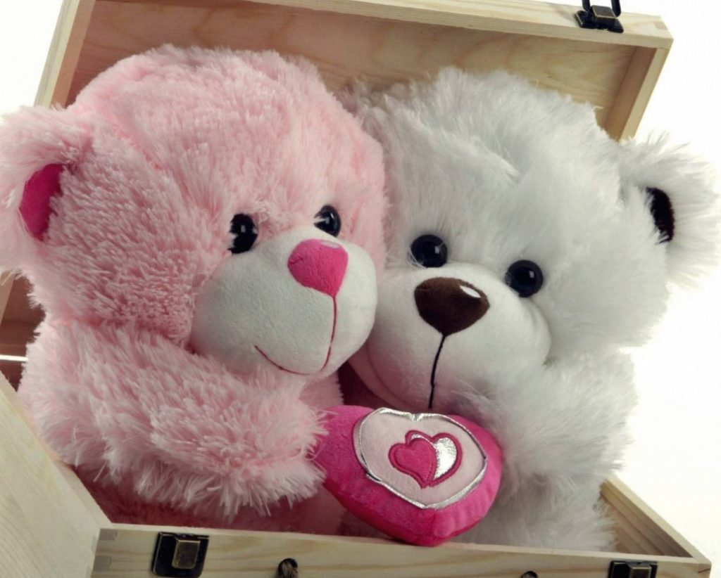 teddy bear