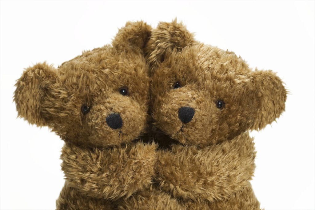 teddy bear
