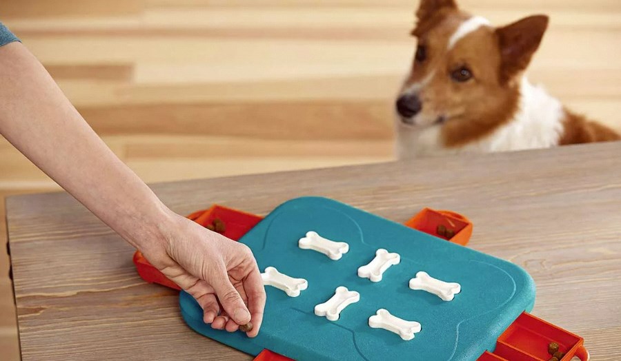 DIY Puppy Toys: Engaging Playtime for Your Furry Friend