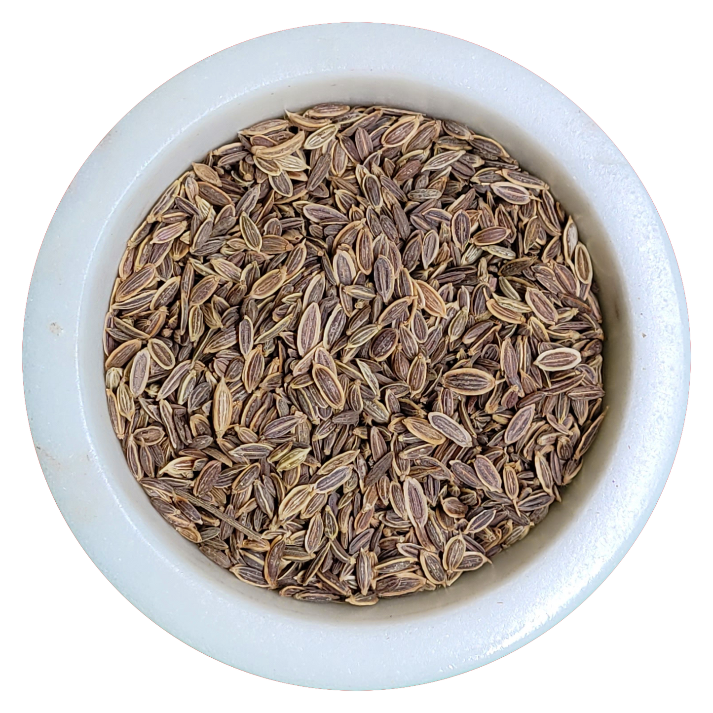 dill seed vs dill weed