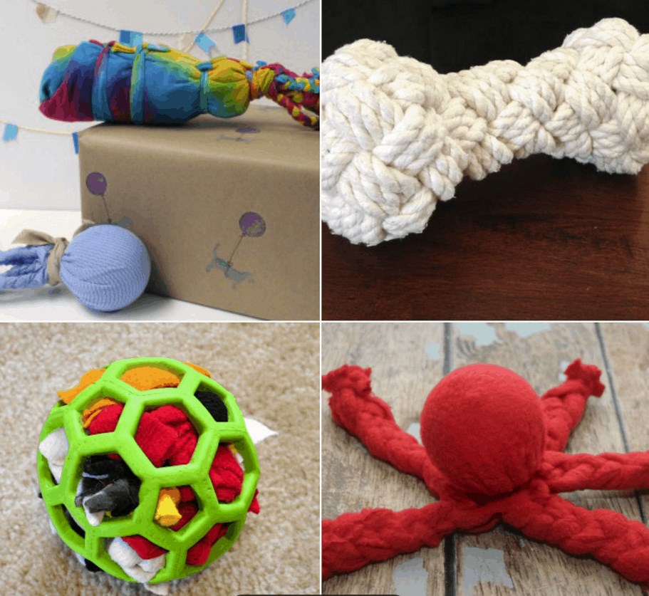 Crafting Homemade Cat Toys: Budget-Friendly Fun