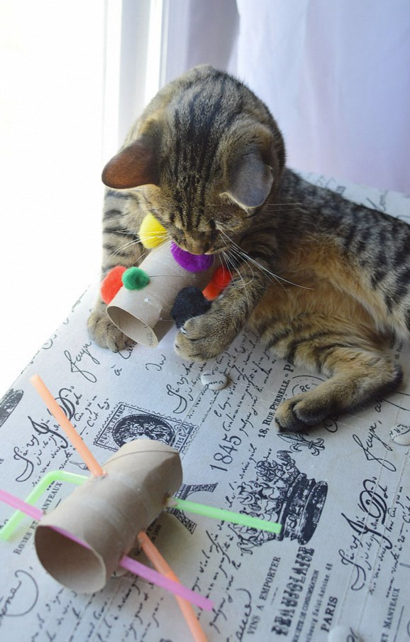 diy toys