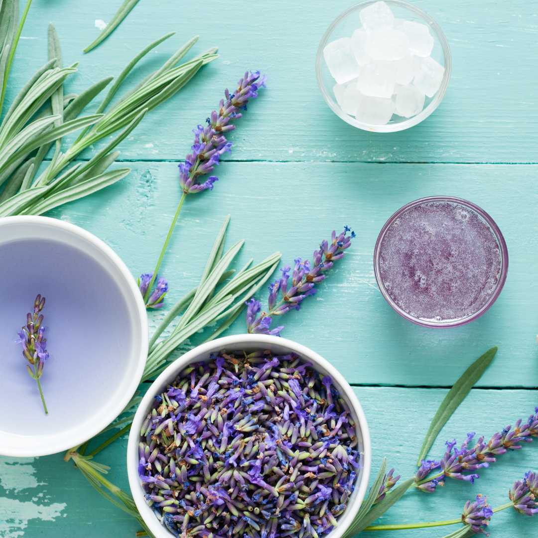 The Calming Charm of Lavender Tea: A Sip Towards Wellness插图
