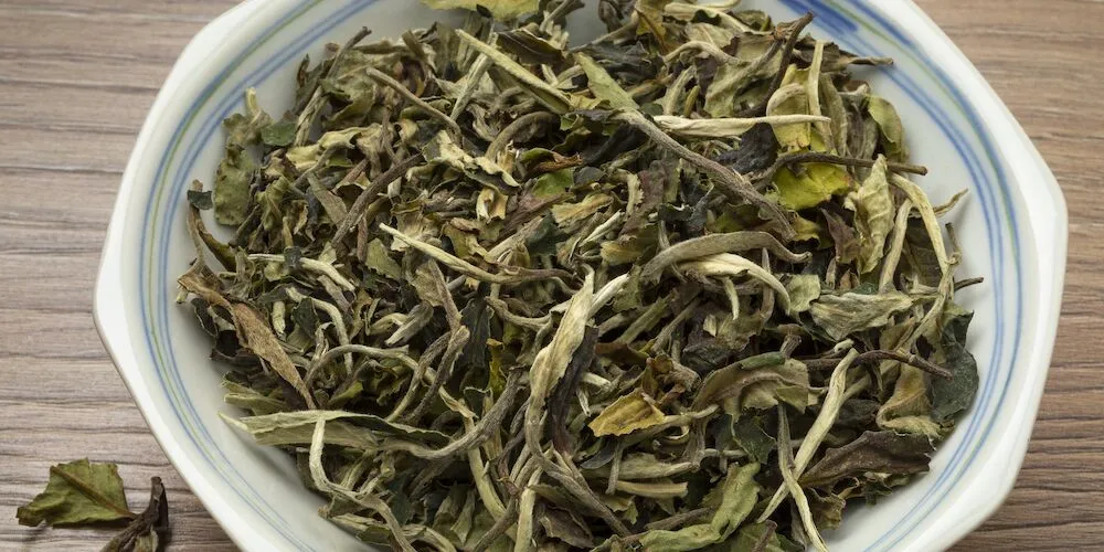 The Power of White Tea: A Journey Through its Health Benefits插图1
