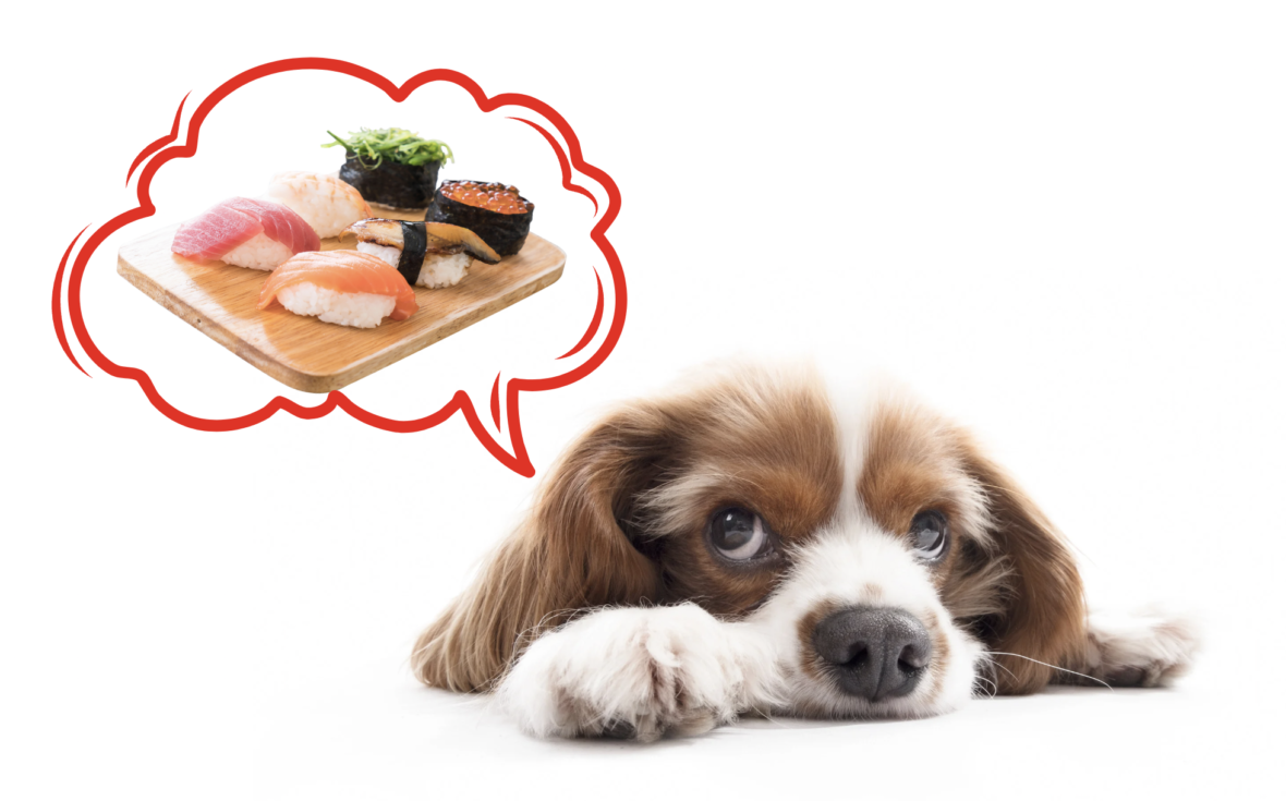 food names for dogs