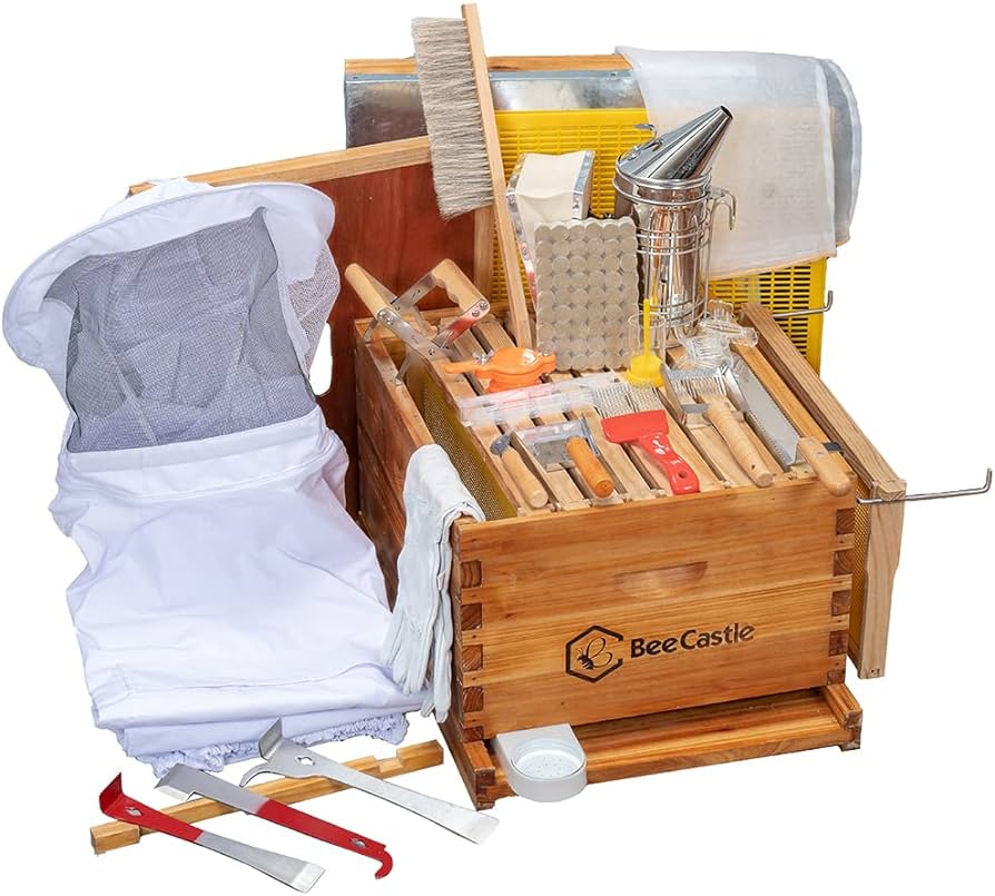 Beginner Beekeeping Kits: Choosing the Right One