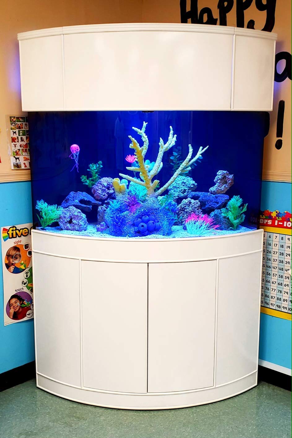 Corner Aquariums with Stands: A Comprehensive Guide