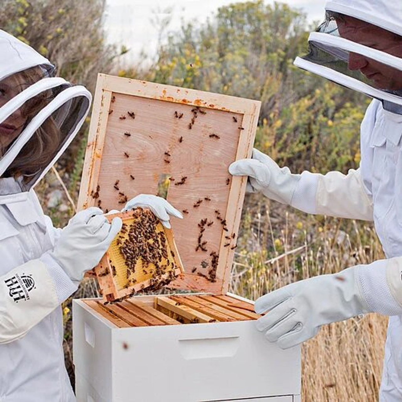 Beginner Beekeeping Kits: Choosing the Right One