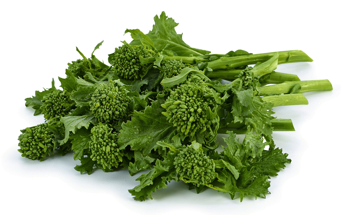 The Versatility and Nutritional Powerhouse of Broccoli Rabe