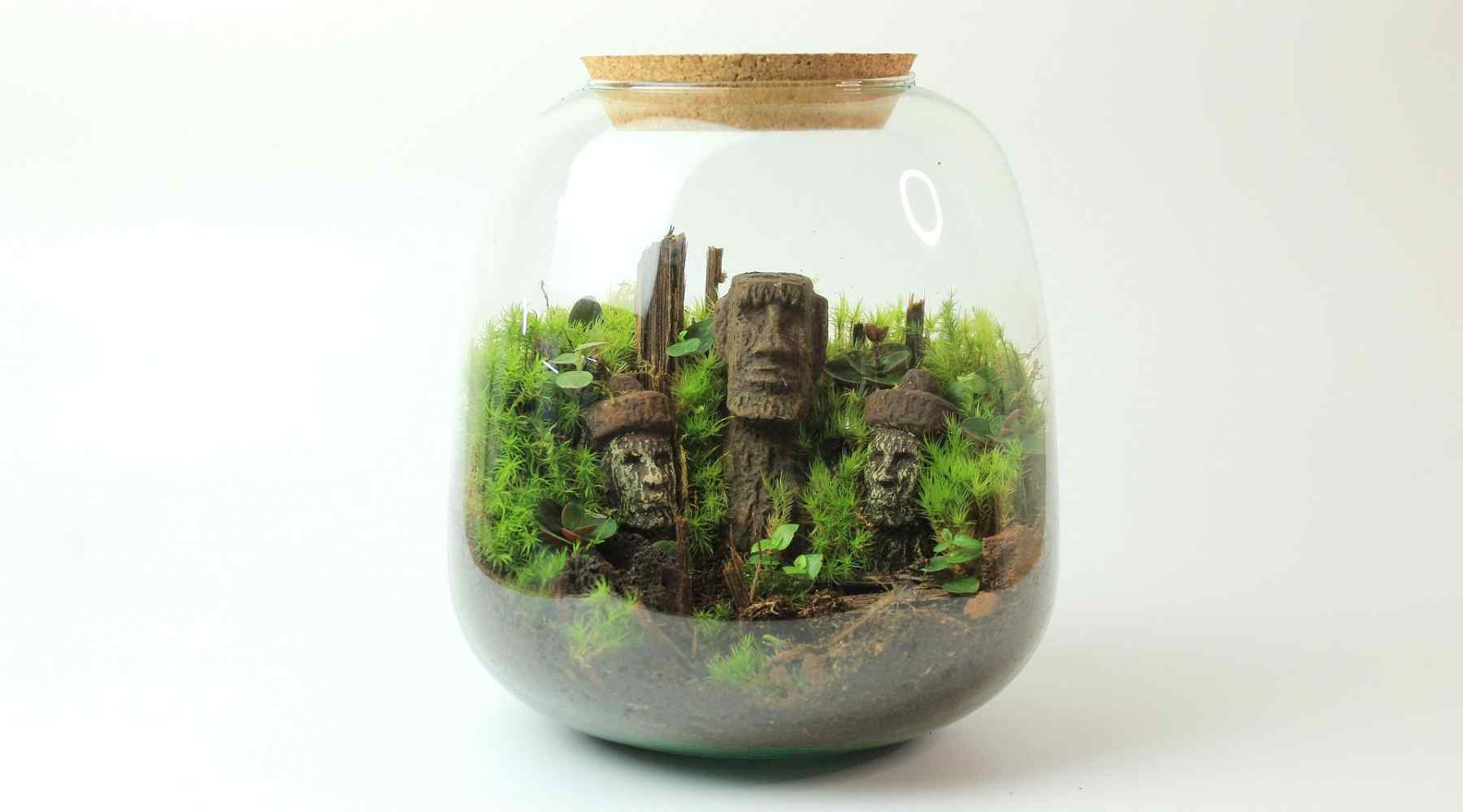 Terrariums: A Beginner's Guide to Creating and Maintaining Your own Miniature Ecosystem