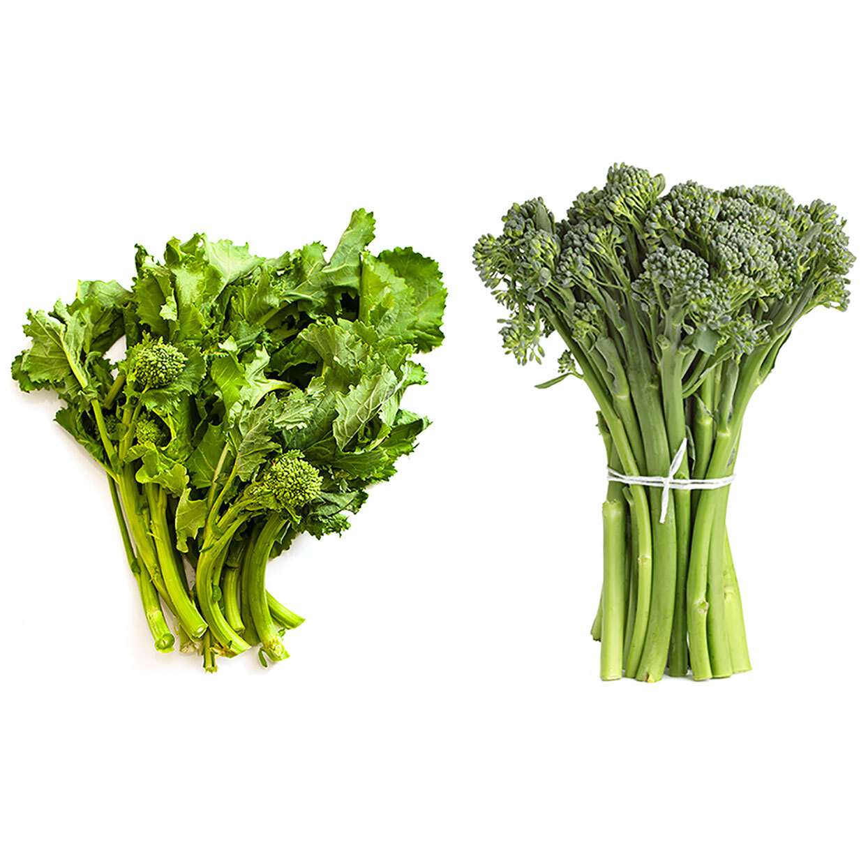 The Versatility and Nutritional Powerhouse of Broccoli Rabe