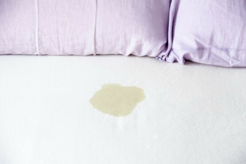 Banishing Cat Pee Stains and Odors from Bedding