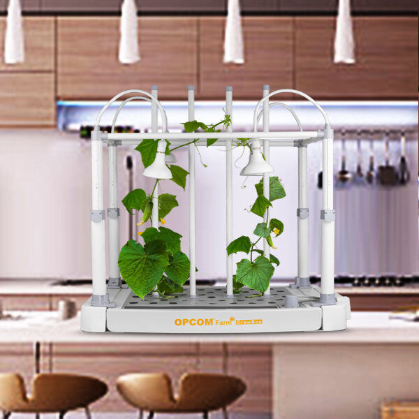Hydroponic box systems