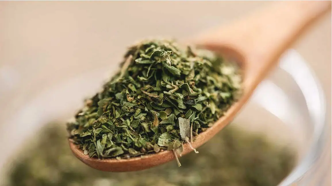 benefits of oregano tea