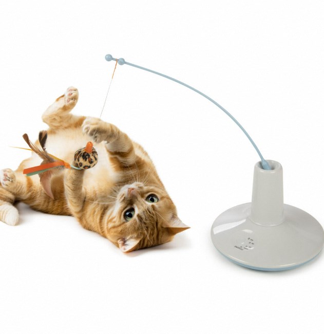 interactive cat toy