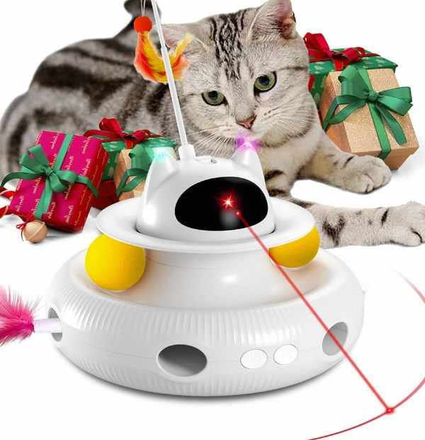 Interactive Cat Toys: How to Keep Your Cat Stimulated