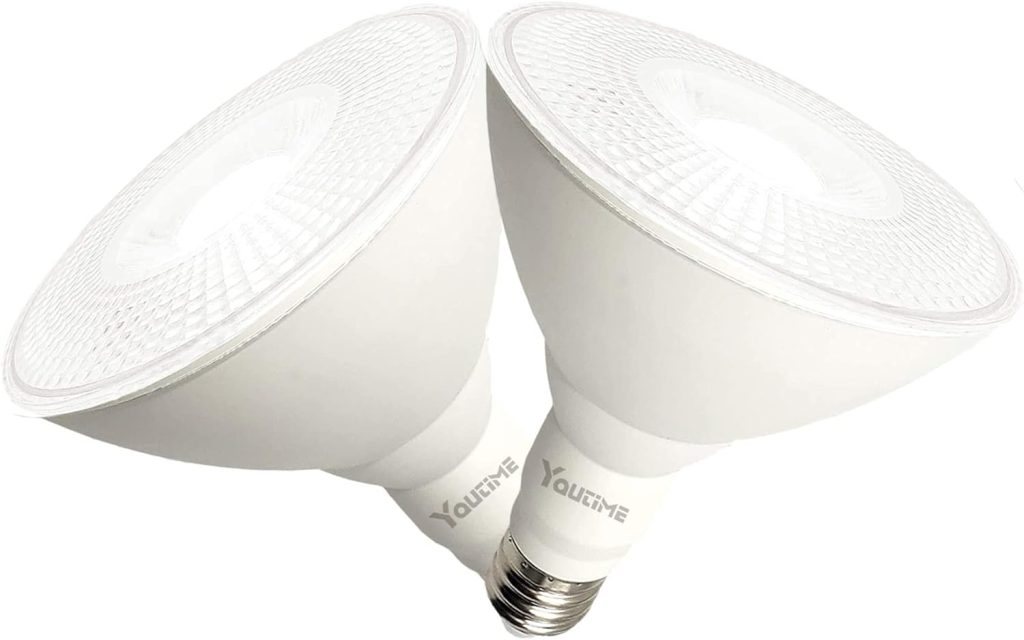Illuminating Advantages: Exploring LED Flood Light Bulbs