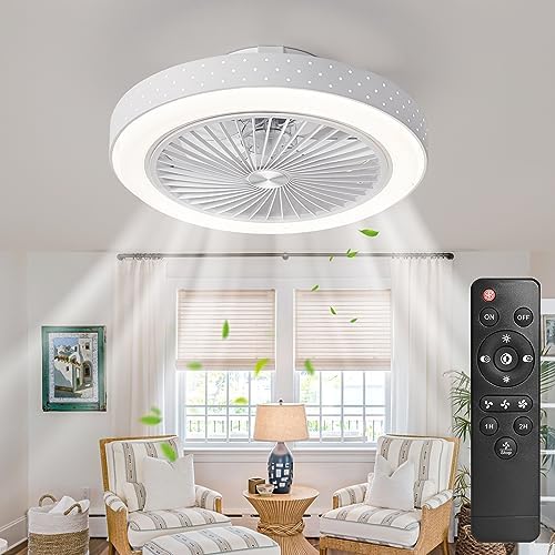ceiling fan with light