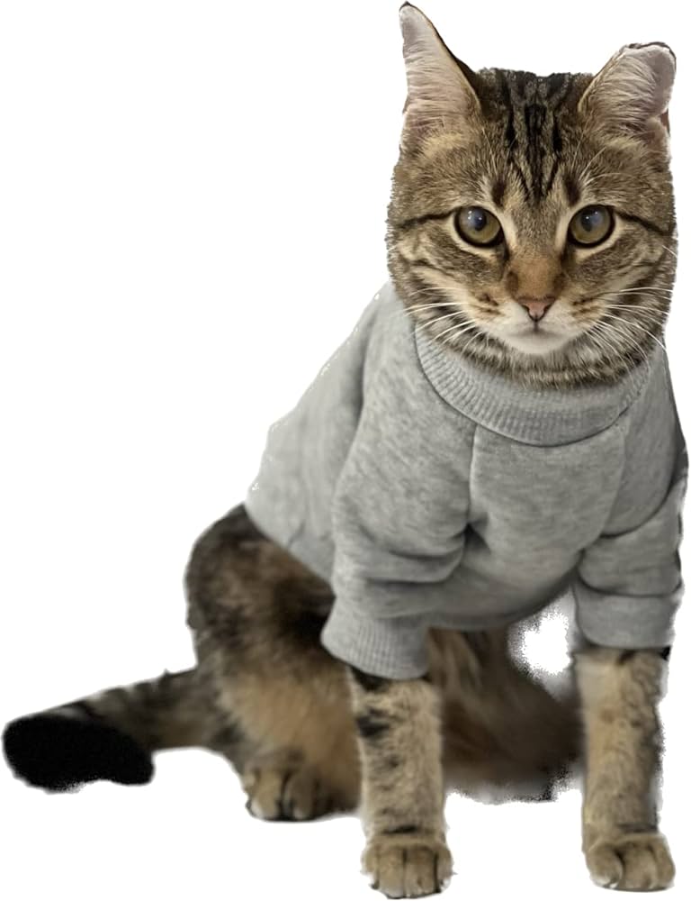 Cat Accessories Clothes