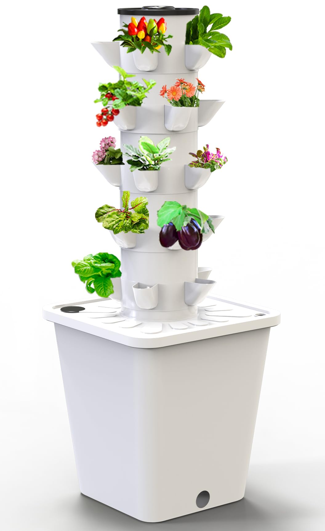 Top-rated hydroponic boxes for small spaces