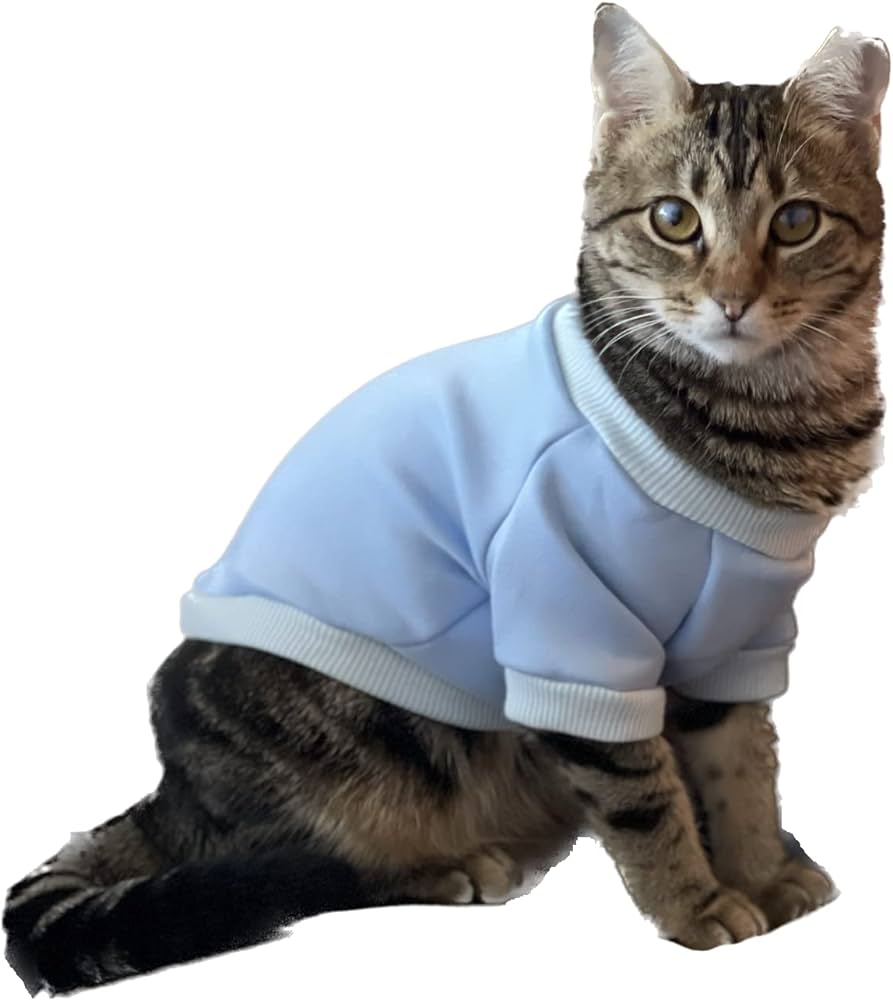 cat accessories clothes