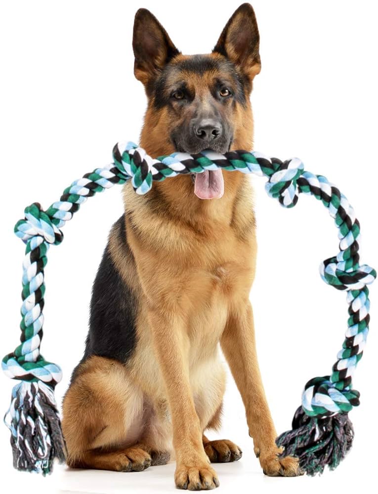Large Dog Toys