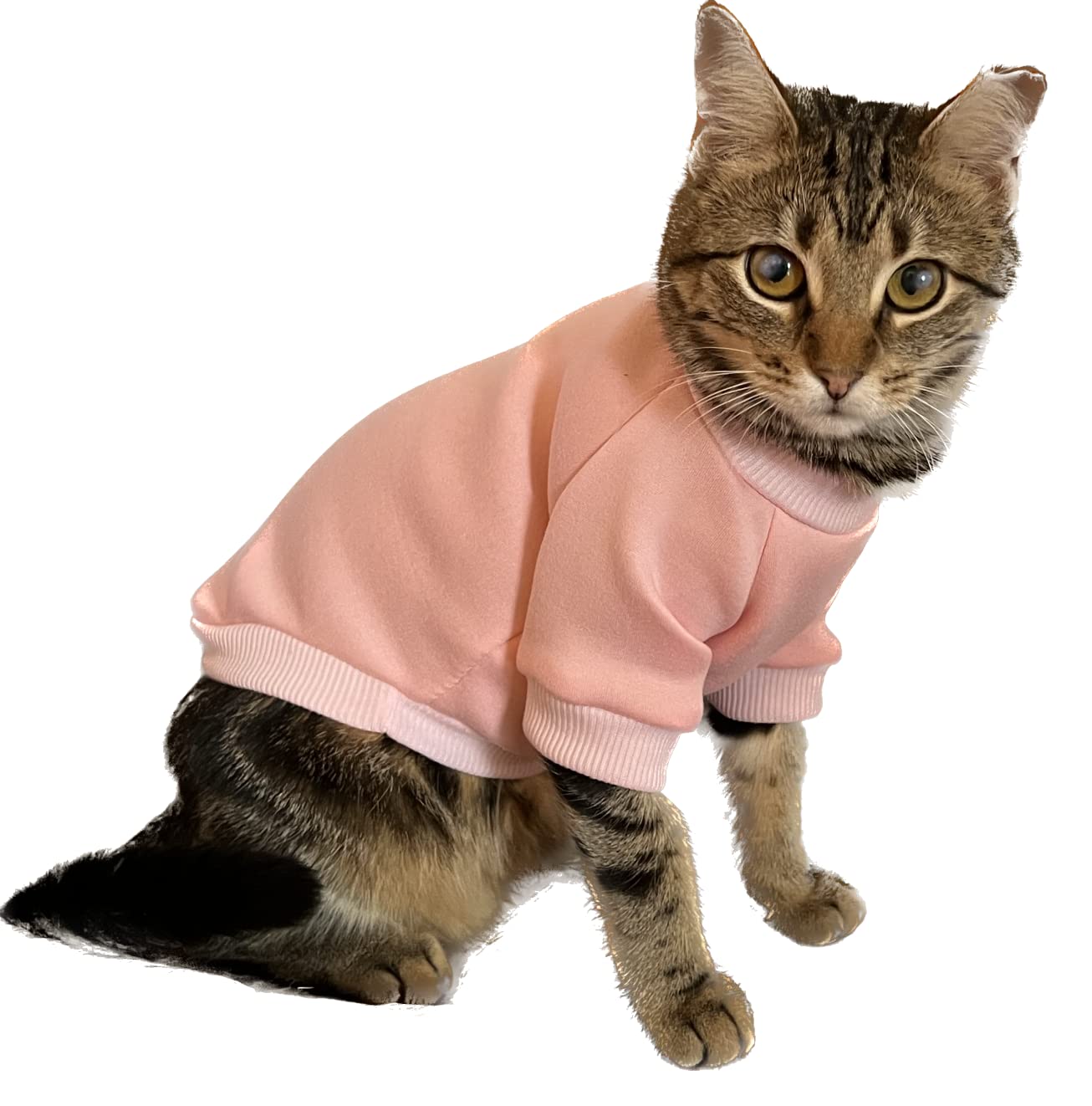 Cat Accessories Clothes