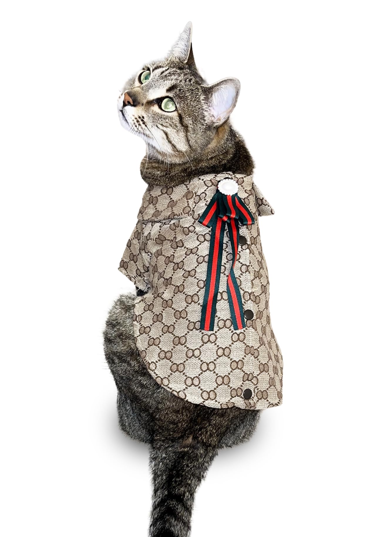 Cat Accessories Clothes