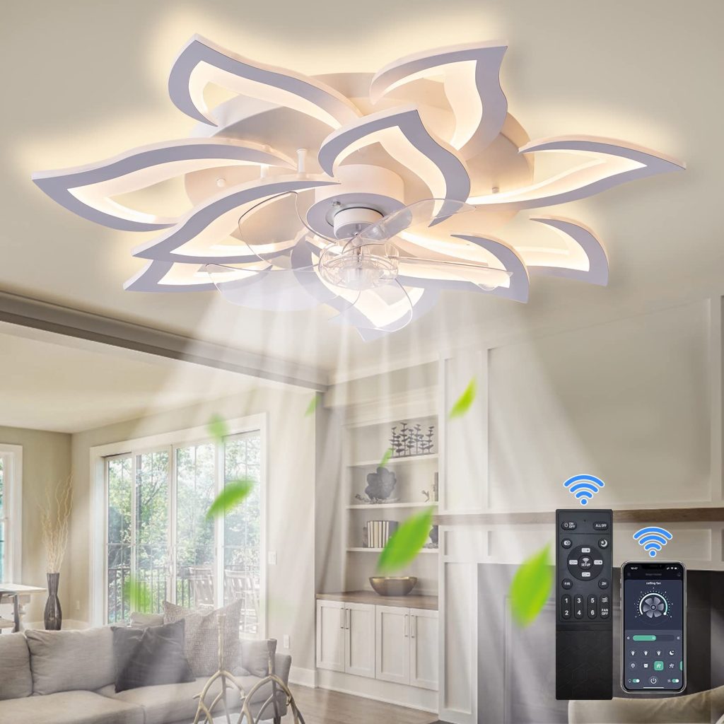 ceiling fan with light