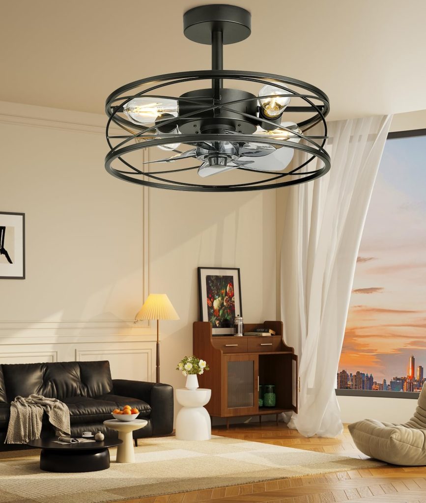 ceiling fan with light
