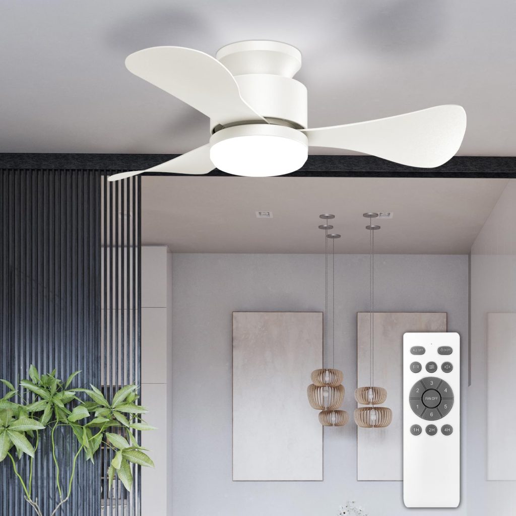 ceiling fan with light