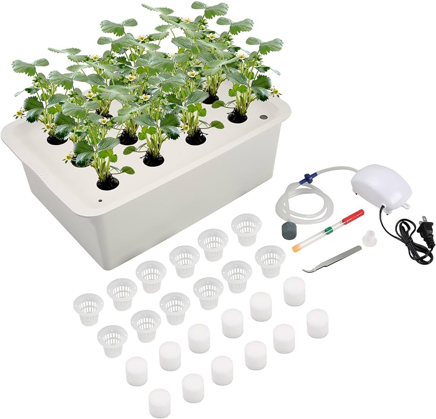 Hydroponic box systems
