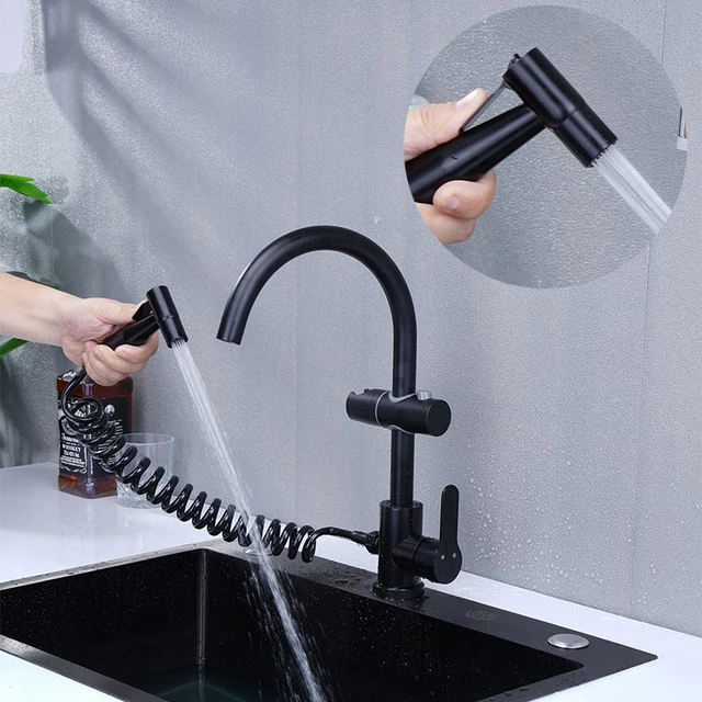 kitchen faucet with sprayer