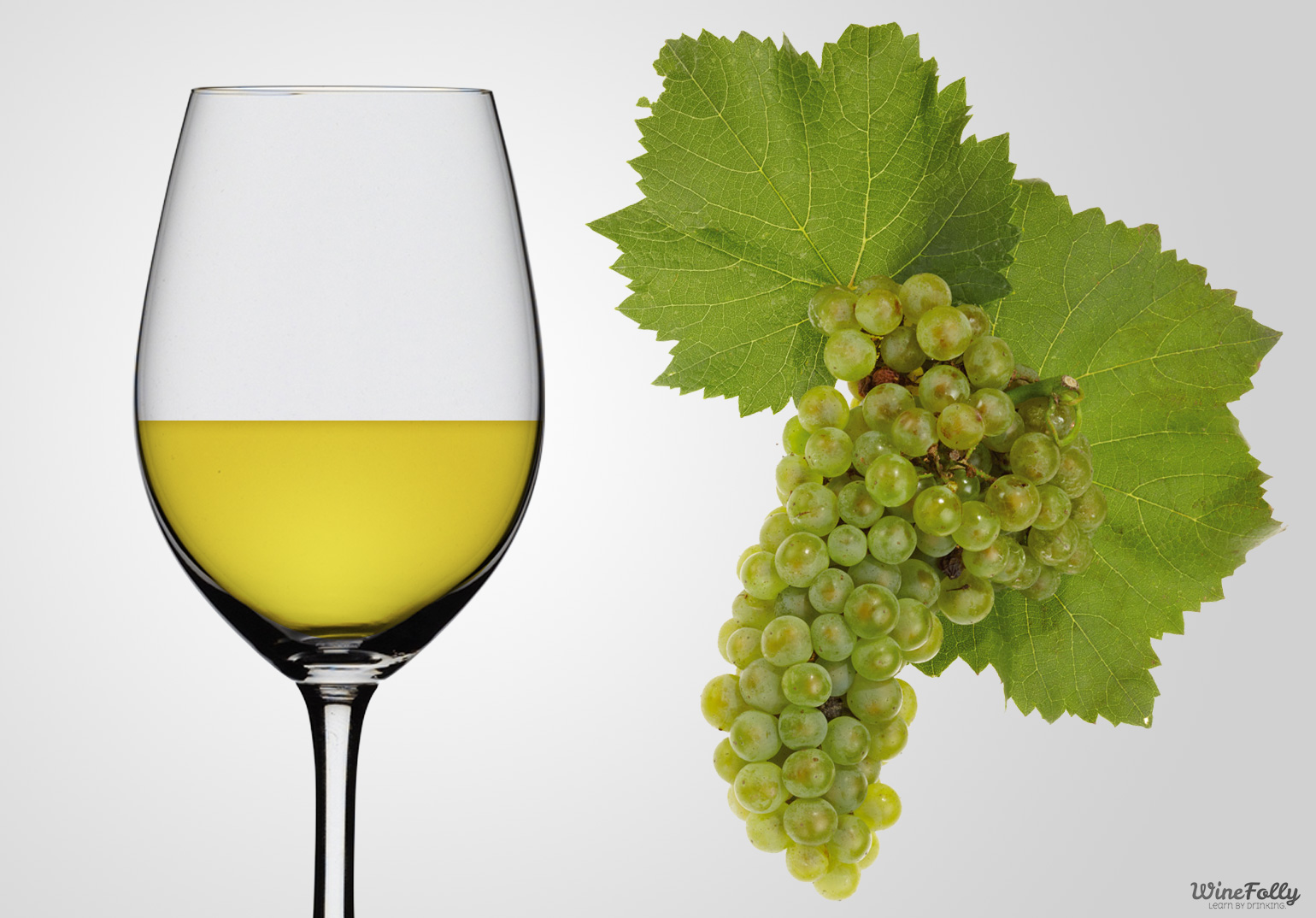 An Ode to Chardonnay Wine: Unveiling Its Elegance and Flavors
