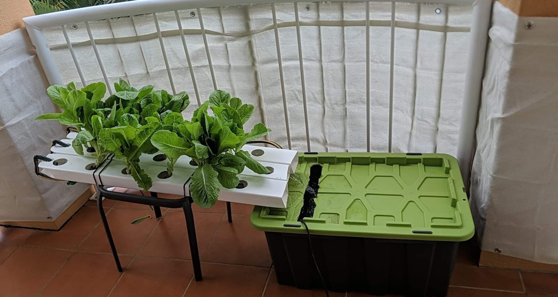 DIY hydroponic boxes