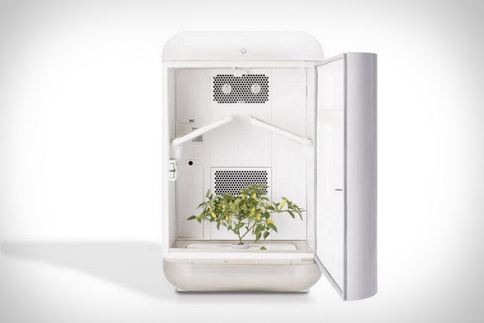 Hydroponic box systems