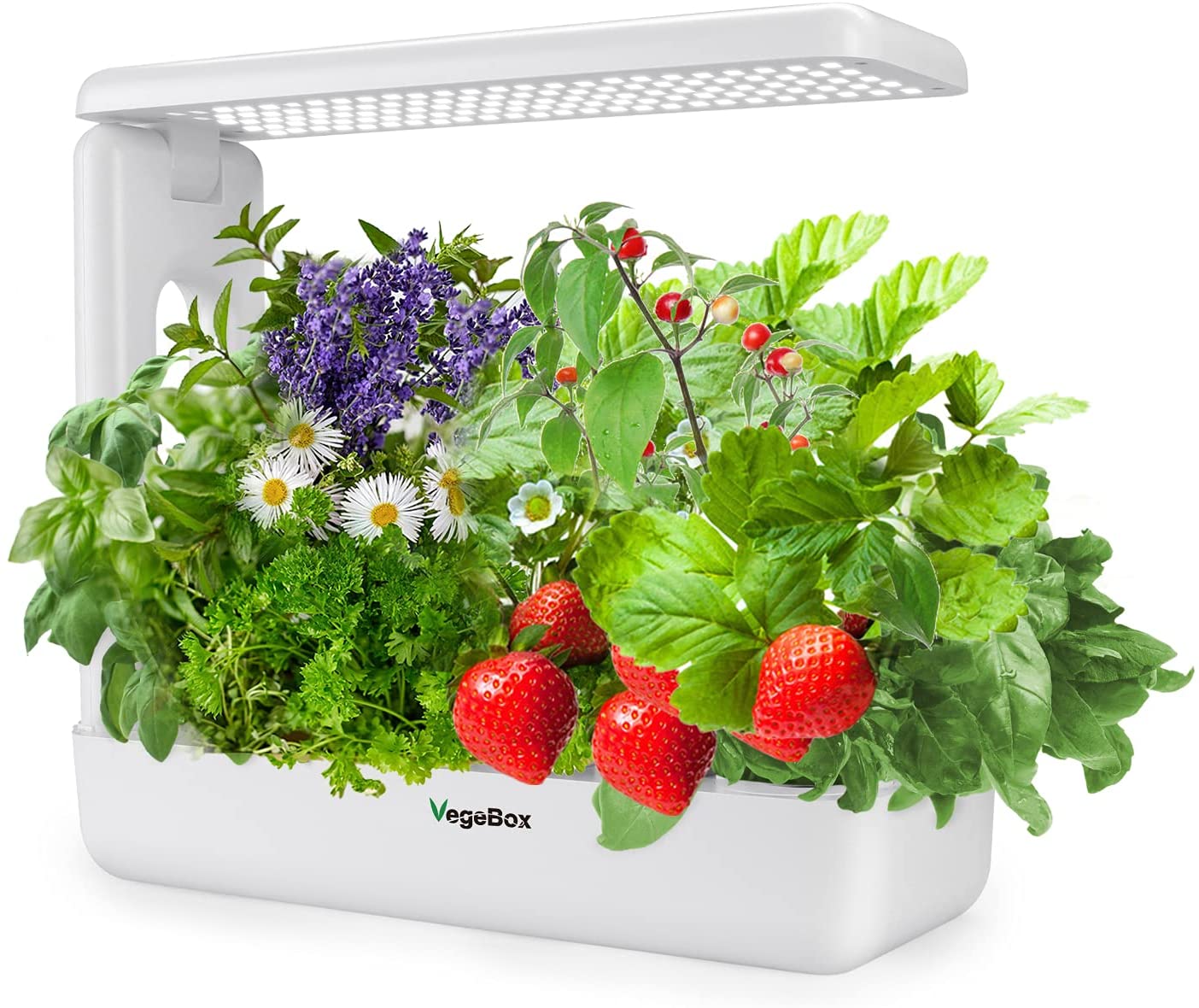 Hydroponic box systems