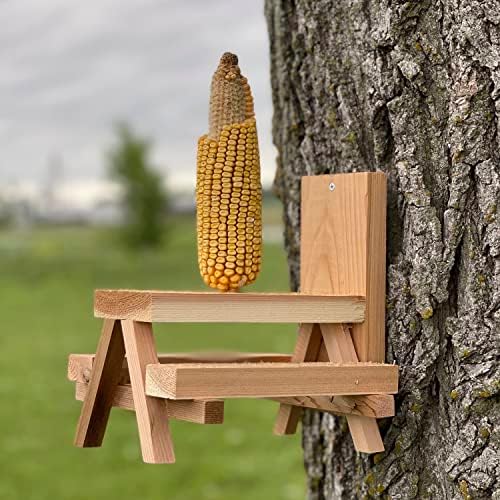 Squirrel Feeder Plans: A DIY Guide to Attracting and Delighting These Playful Creatures