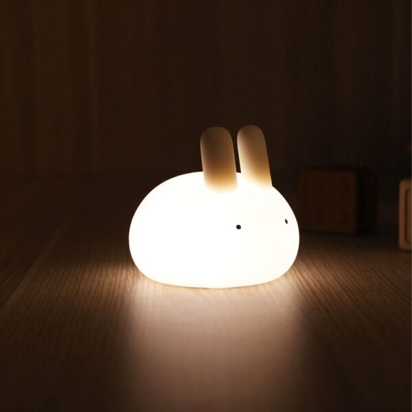 Understanding the Purpose of Night Light
