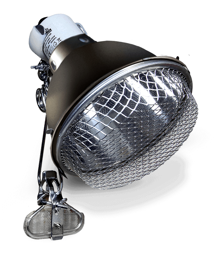 Light on Versatility: The Comprehensive Guide to Clamp Light