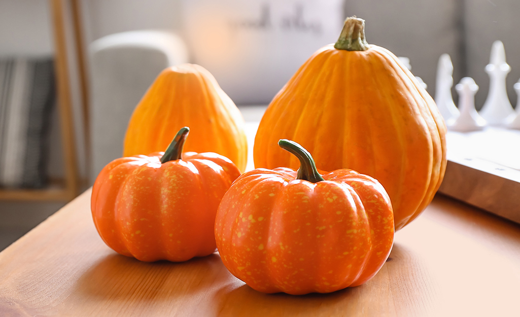 Pumpkin Bird Feeders: Nature Enthusiasts and DIY Aficionados