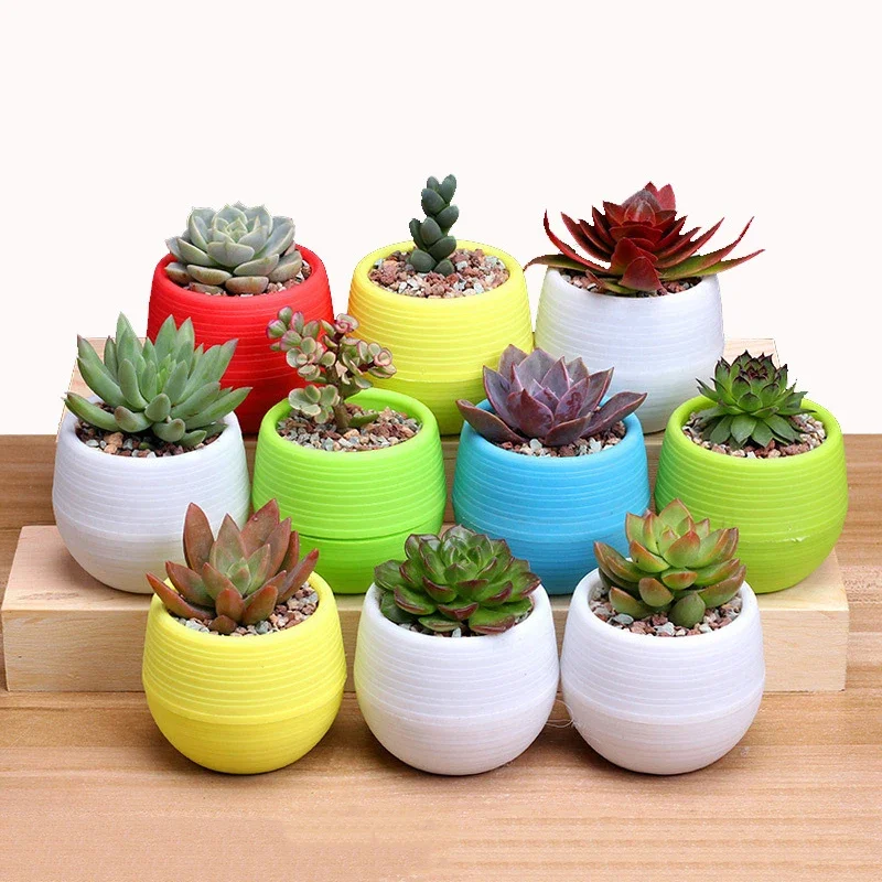 Transform Your Garden: How to Paint Plastic Flower Pots