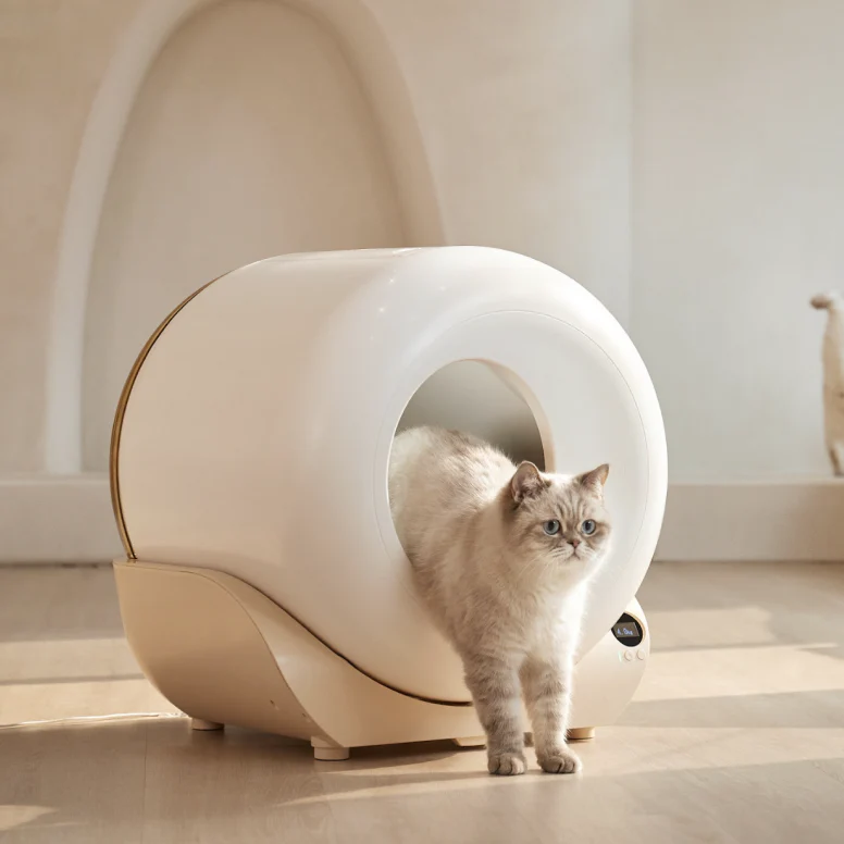cat use the litter box