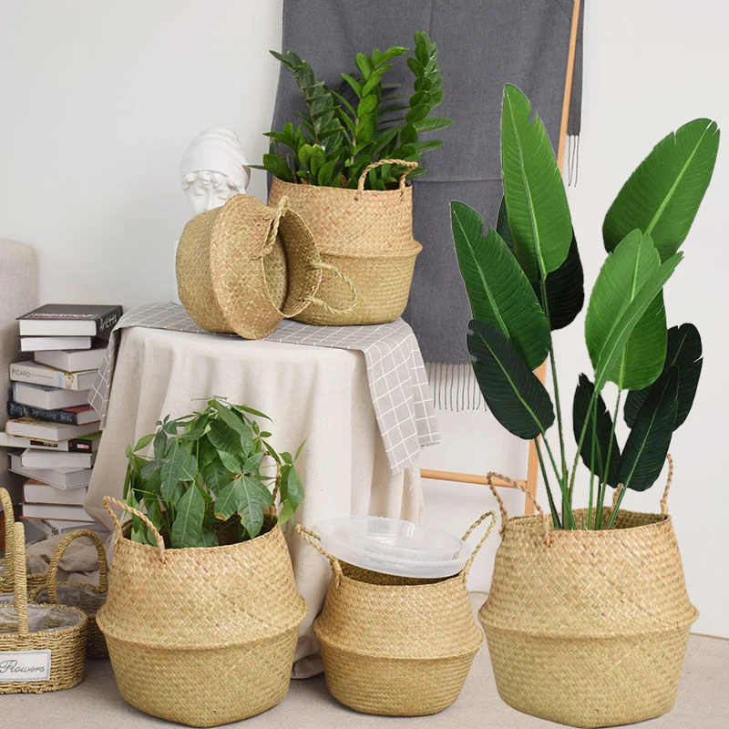 Poolside Charm: Styling Flower Pots for a Serene Pool Area