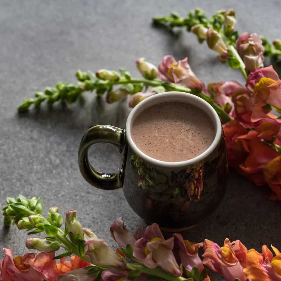 Cocoa Tea: A Rich Brew of Health and Flavor