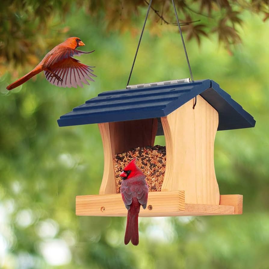 Home Made Bird Feeder: Bring Feathered Friends to Your Yard